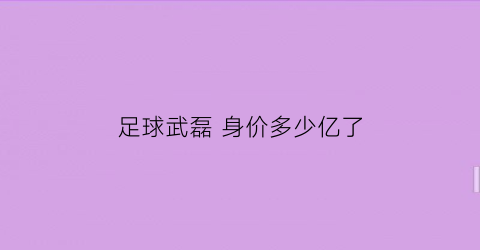 足球武磊身价多少亿了(球员武磊身价多少)